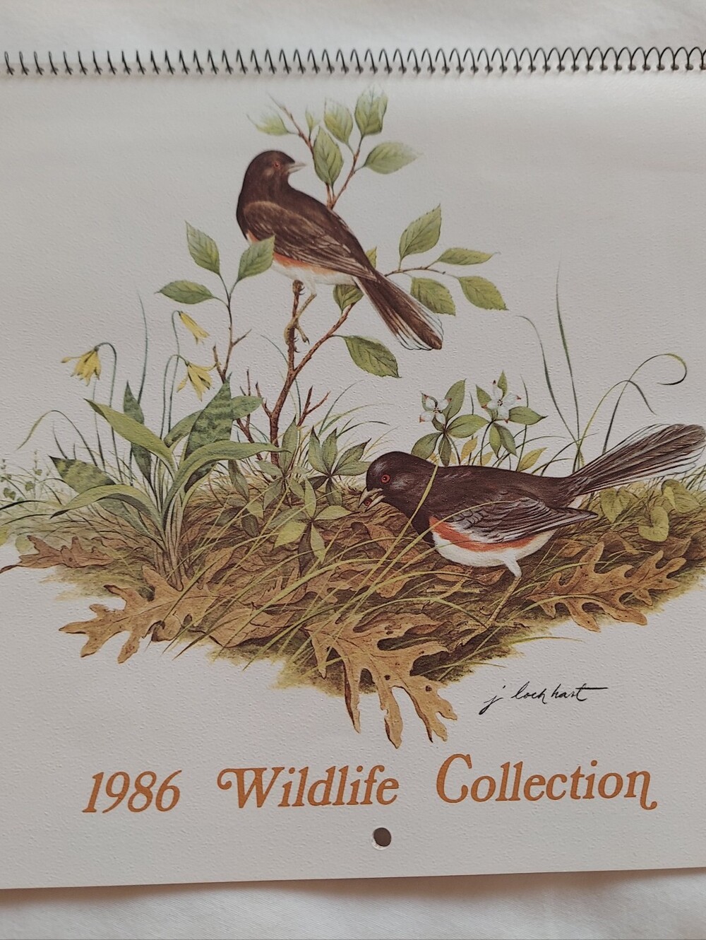Vntg 1986 Wildlife Collection Callender, James Lockhart-Artist & Conservationist